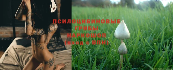 первитин Белокуриха